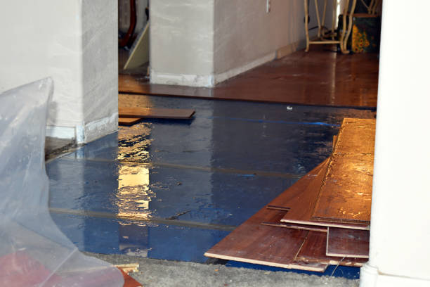 Professional Sewage Cleanup technician working in Alma, AR